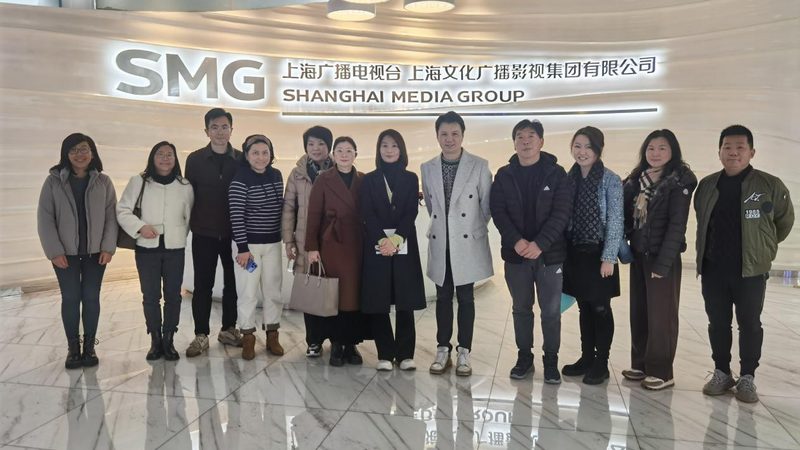 VI设计标准规范：企业视觉识别系统的基石